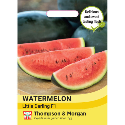 Watermelon Little Darling F1  F2-A4 - KeansClaremorris