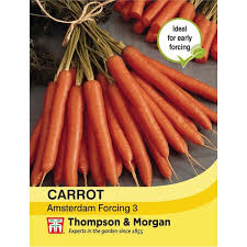 Carrot Amsterdam Forcing 3 - KeansClaremorris