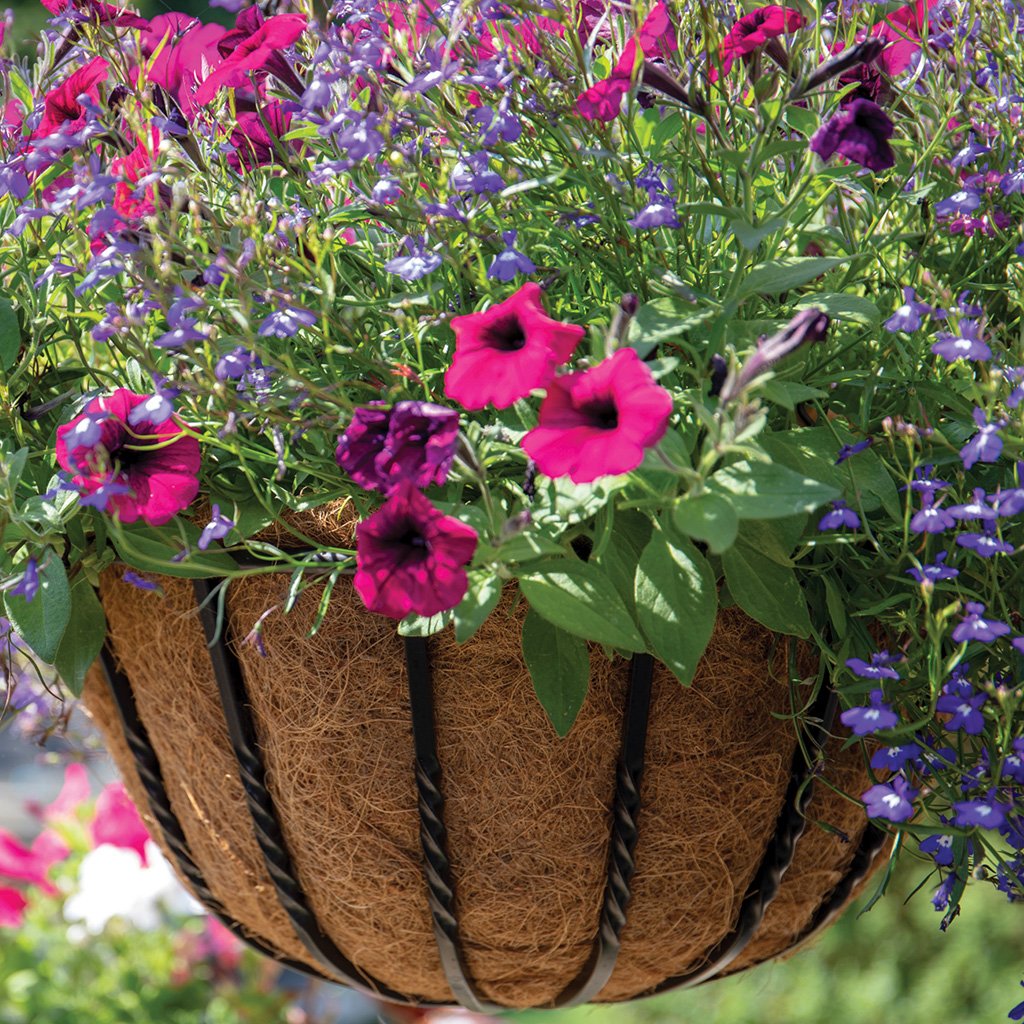 Blacksmith Hanging Basket 40cm 16 in