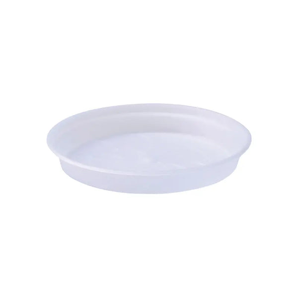 Green Basics Orchid 13Cm Transparent saucer - KeansClaremorris